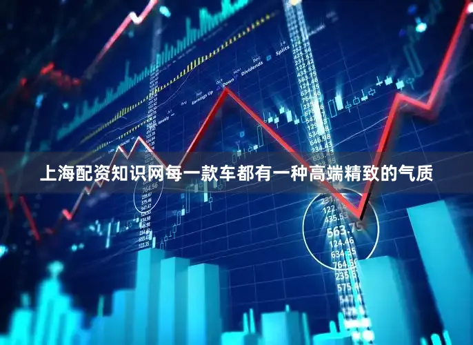 上海配资知识网每一款车都有一种高端精致的气质