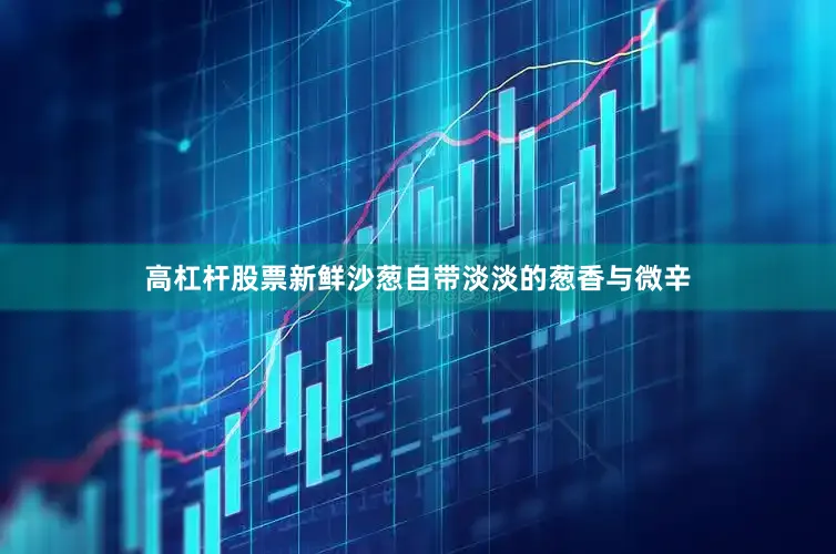 高杠杆股票新鲜沙葱自带淡淡的葱香与微辛