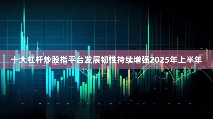 十大杠杆炒股指平台发展韧性持续增强2025年上半年