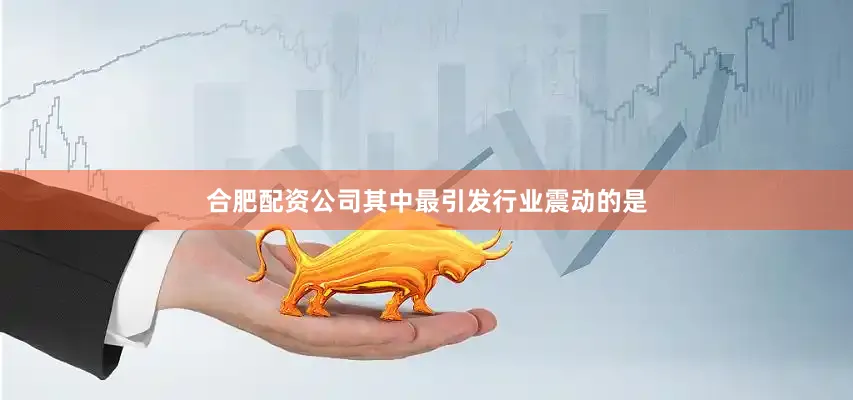 合肥配资公司其中最引发行业震动的是