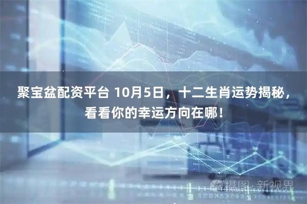 聚宝盆配资平台 10月5日，十二生肖运势揭秘，看看你的幸运方向在哪！